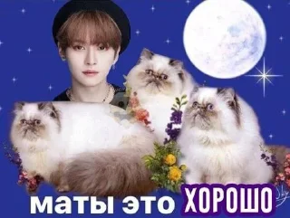 Стикер Skz @Shrifty_textbot - 0
