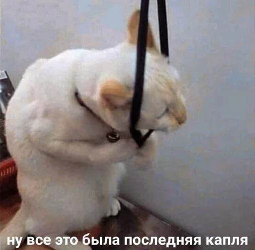 Так надо @Themki_robot - 