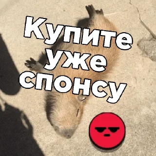 Стикер Skacauee stickers - 1