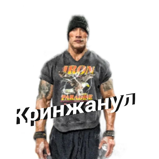 Человек одежда человеческое лицо