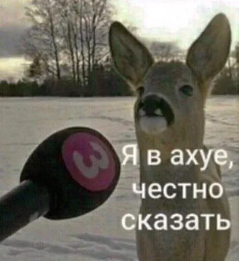 Sticker Yeeeah :: @fStikBot - 2