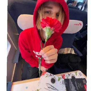 Sticker скалли для викули - 8