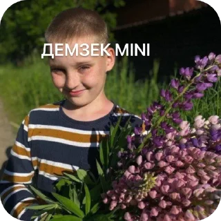 Стикер скам со2 - 8