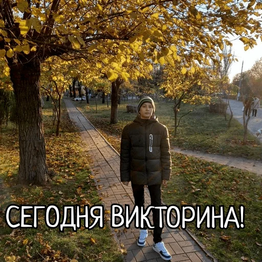 Sticker Скамейка - 9