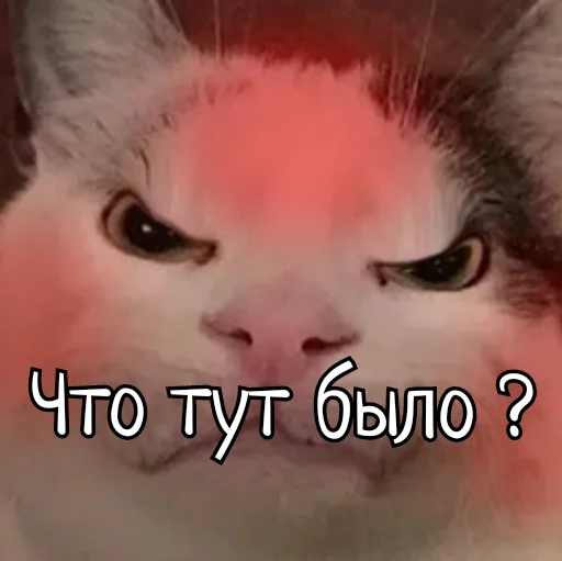 Sticker Скамейка - 2