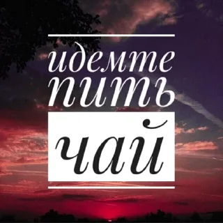 Sticker Intoxicated @stickersb2b - 2