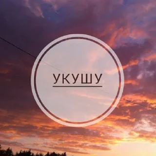 Sticker Intoxicated @stickersb2b - 8