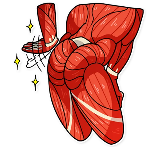 sketch drawing illustration