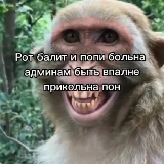 Sticker Склеп - 3