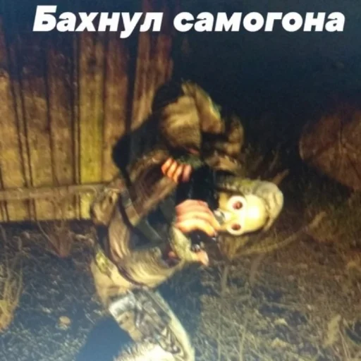 Sticker Фладара хочется - 11