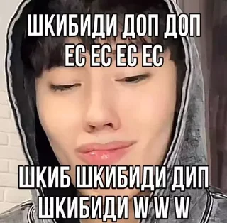 Sticker Shukashastickers - 9