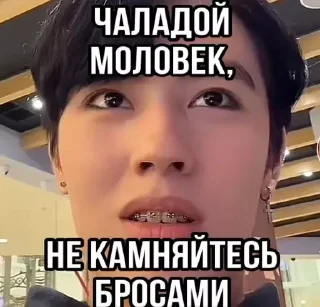 Sticker Shukashastickers - 4