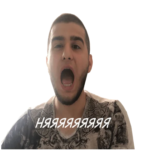 Стикер SkyLid - 1