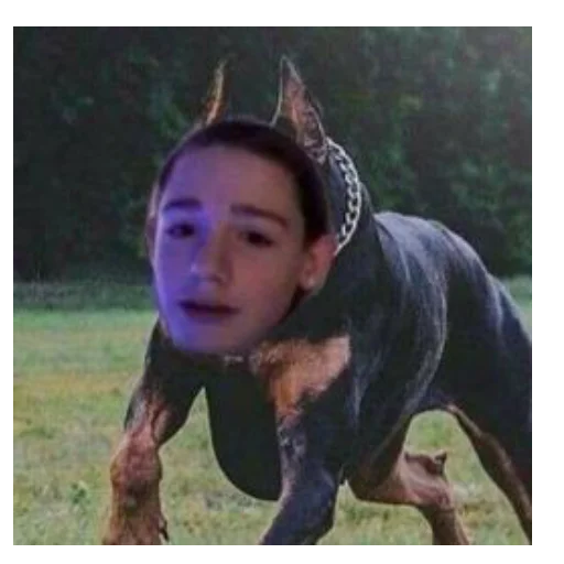 Стикер Пейтон🤬🥵🥵🥵 - 7