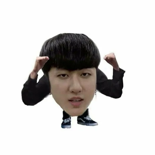 person human face hairpiece