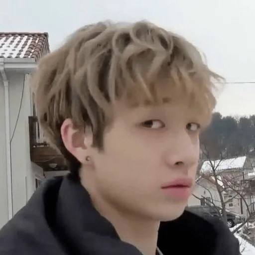 person human face hairpiece