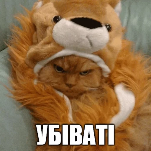 мех млекопитающее животное