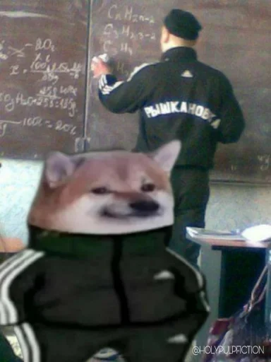 почерк СМС одежда