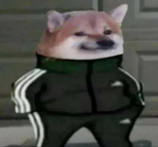 Slav Cheems | @HolyPulpFiction - мультфильм