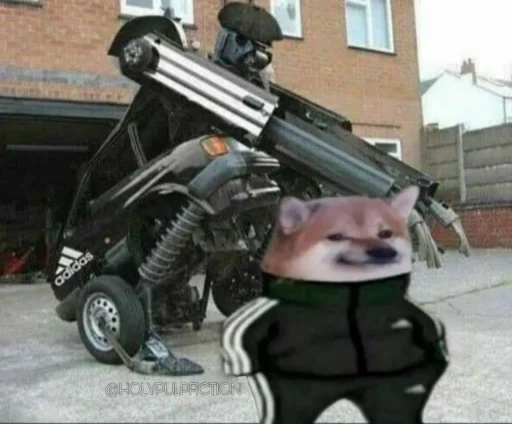 оружие шина мотоцикл