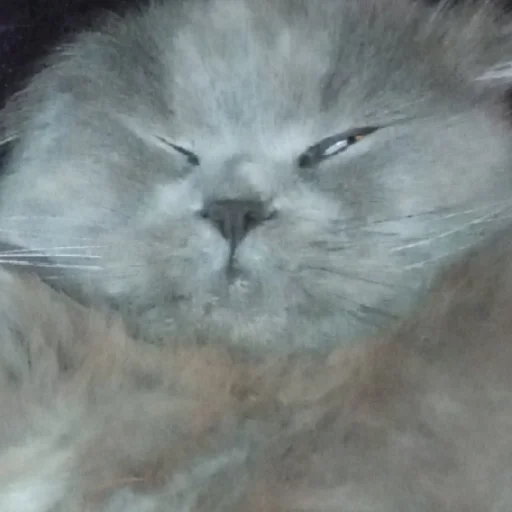 Стикер 🇺🇦 - 1