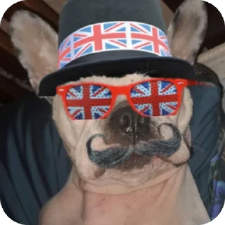 Sticker Слчььсл - 6