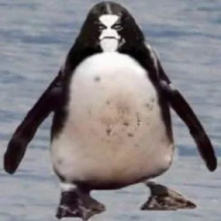 Стикер SleepKnot - 5