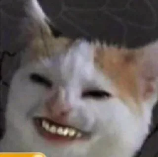 Sticker Мемы - 6