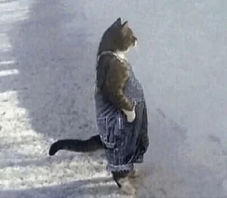 Sticker Мемы - 7