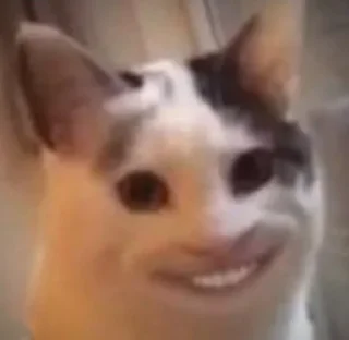 Sticker Мемы - 9