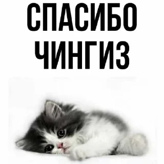 Sticker Мемы - 4