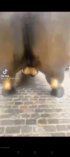 Sticker Мальчеки :: @fStikBot - 0