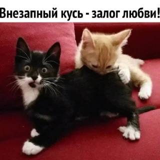 Стикер ✨{slippersstikers}✨ - 5