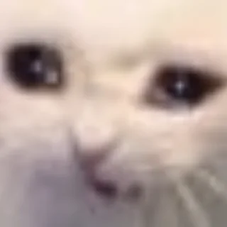 Стикер ✨{slippersstikers}✨ - 6