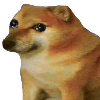 Стикер ✨{slippersstikers}✨ - 9