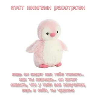 Sticker Котики (Ot Safa)(🤍для❤пандочки🖤) - 5