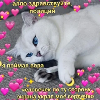 Sticker Котики (Ot Safa)(🤍для❤пандочки🖤) - 8