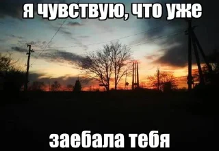 Sticker жиза @Shrifty_textbot - 1