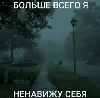 Sticker жиза @Shrifty_textbot - 0