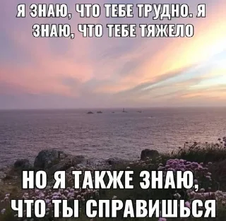 Sticker жиза @Shrifty_textbot - 8