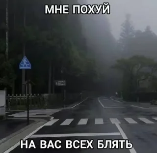 Sticker жиза @Shrifty_textbot - 4