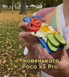 Стикер ОМАГАД ПОКО @Tgthemesrobot - 6