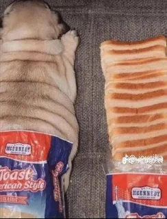 Sticker Мемние чукабаки @Tgthemesrobot - 11