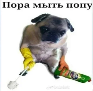 Sticker Мемние чукабаки @Tgthemesrobot - 1