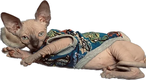 Sticker Smaaallll - 1