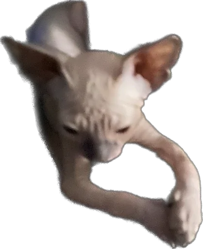 Sticker Smaaallll - 1