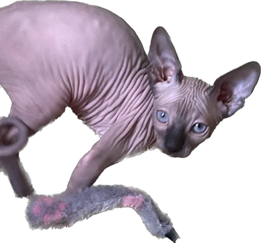 Стикер Smaaallll - 1