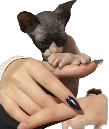 Sticker Smaaallll - 1