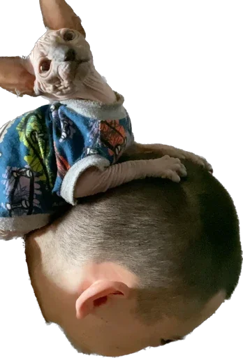 Sticker Smaaallll - 1