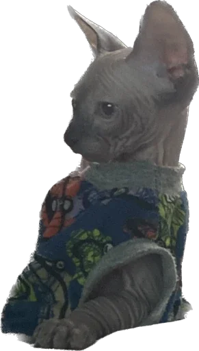 Sticker Smaaallll - 1